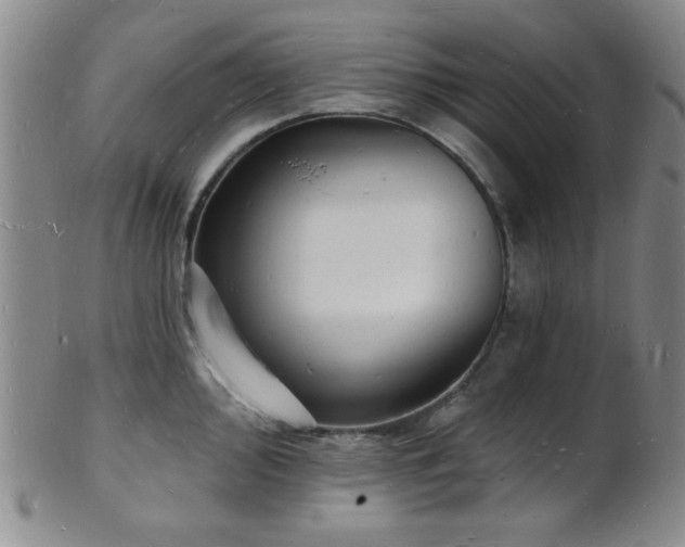 X0000101691000200807101509