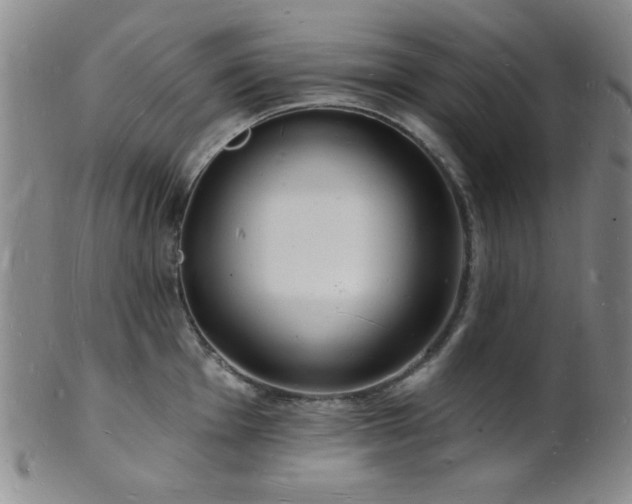 X0000101691001200807101508