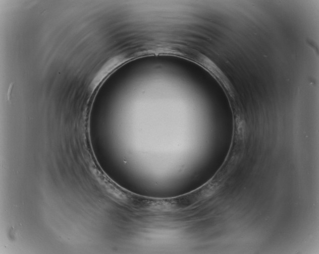 X0000101691002200807101508