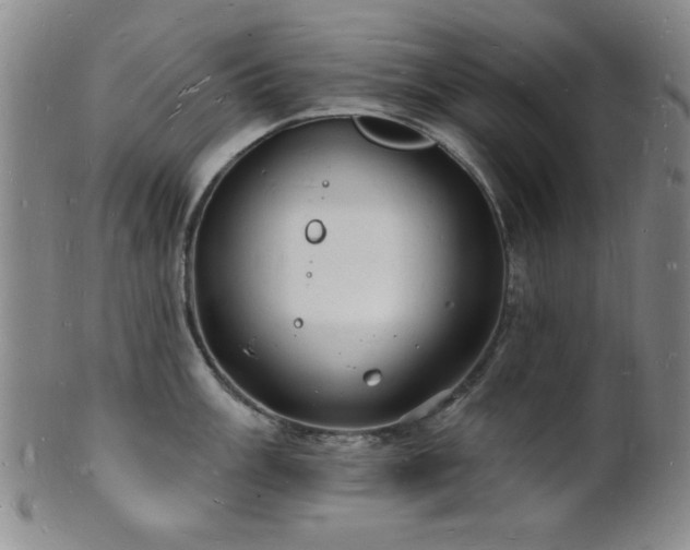 X0000101691003200807101508