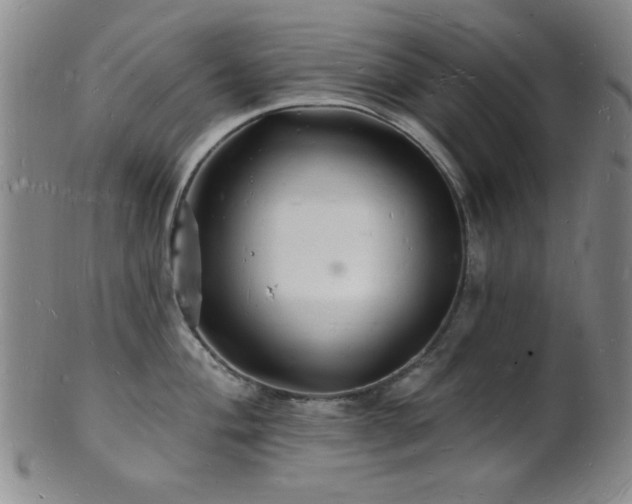 X0000101691004200807101508