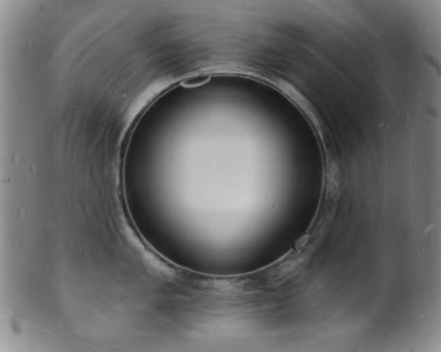 X0000101691005200807101508