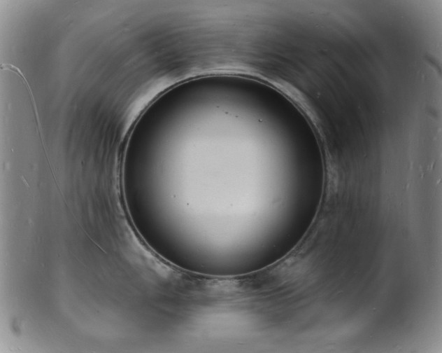 X0000101691006200807101508