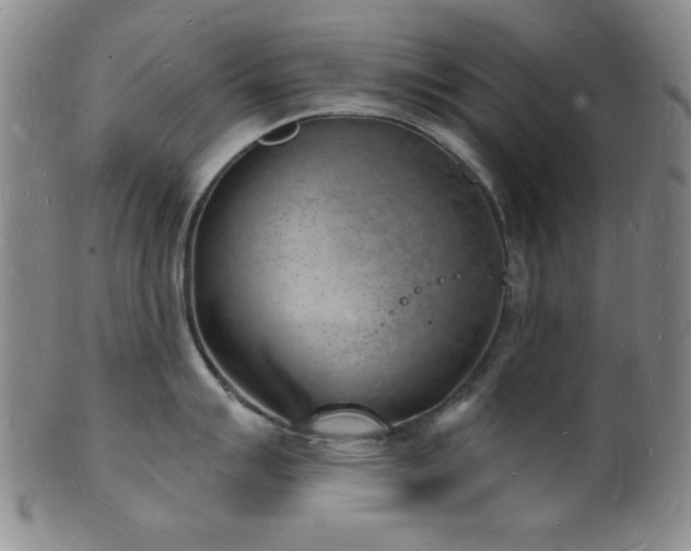 X0000101691007200807101508