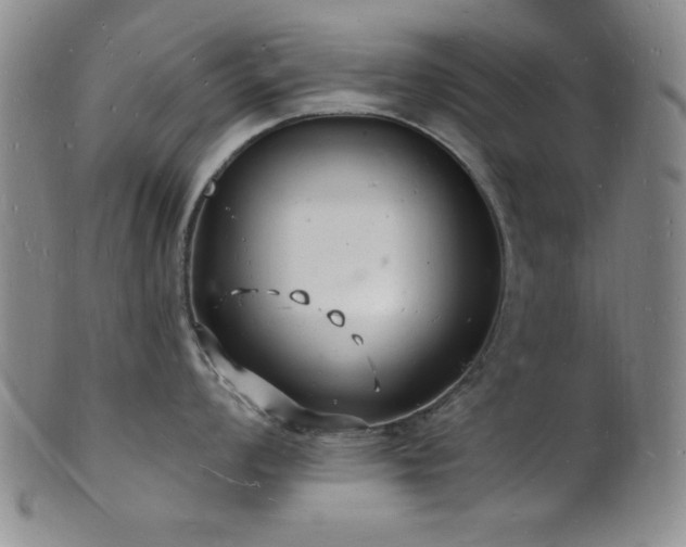 X0000101691008200807101508