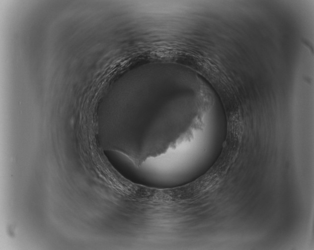 X0000101691009200807101508