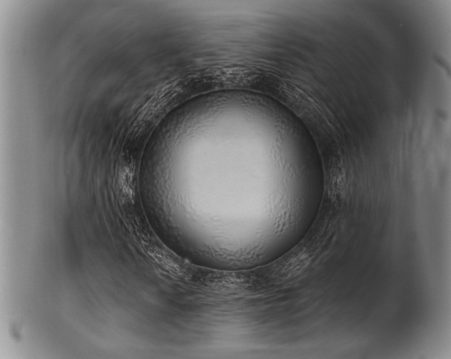 X0000101691010200807101508