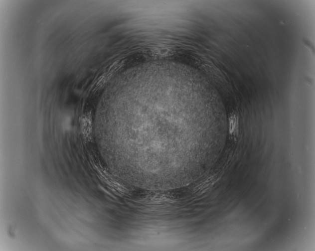 X0000101691011200807101508