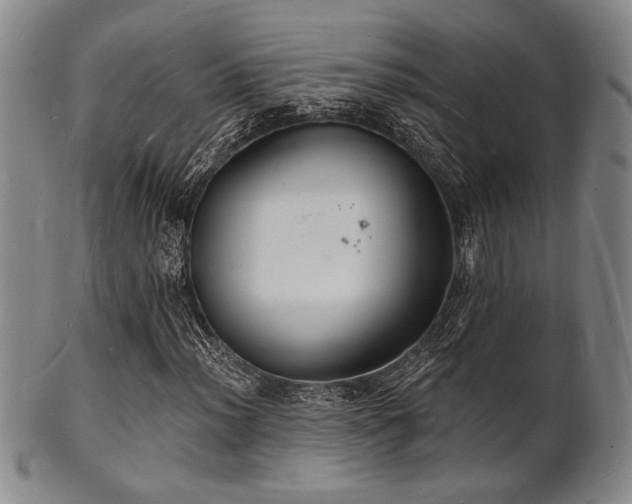 X0000101691012200807101508