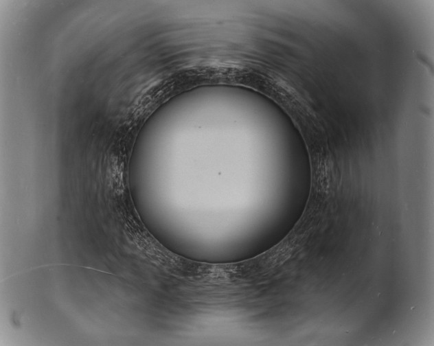 X0000101691013200807101508