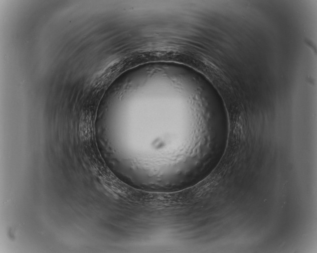 X0000101691014200807101508