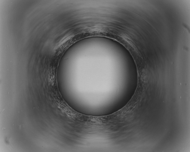 X0000101691015200807101508