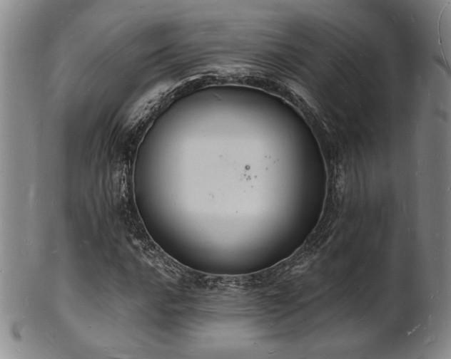 X0000101691016200807101508