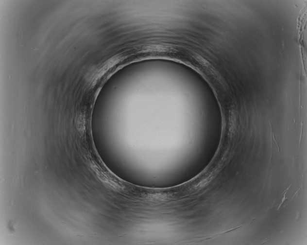 X0000101691017200807101508