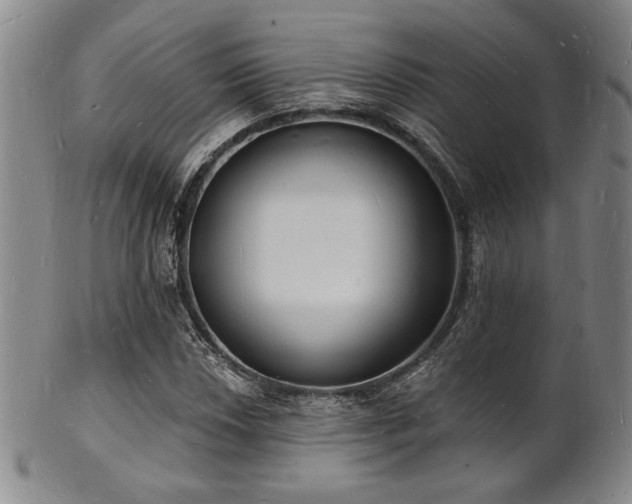 X0000101691018200807101508