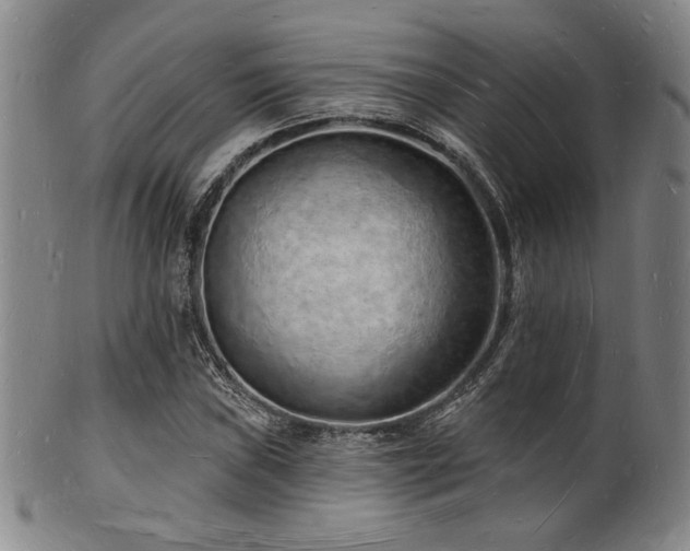 X0000101691019200807101508