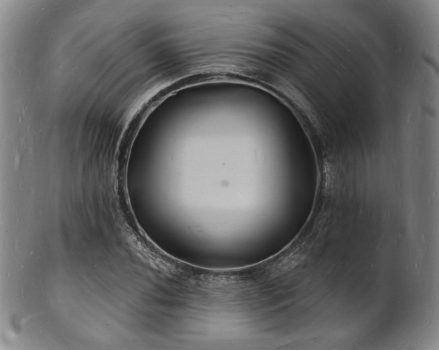 X0000101691020200807101508