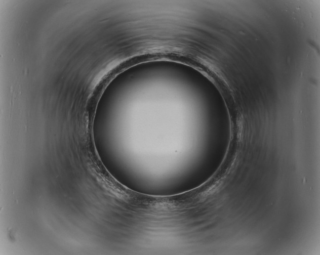 X0000101691021200807101508