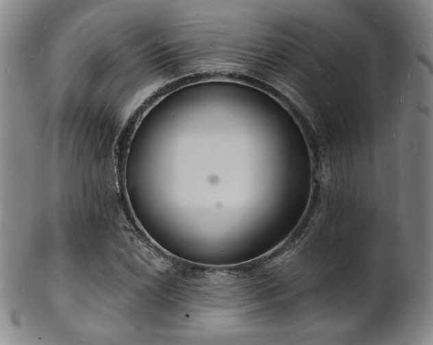 X0000101691022200807101508