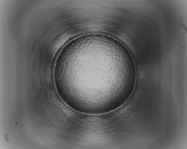 X0000101691023200807101508