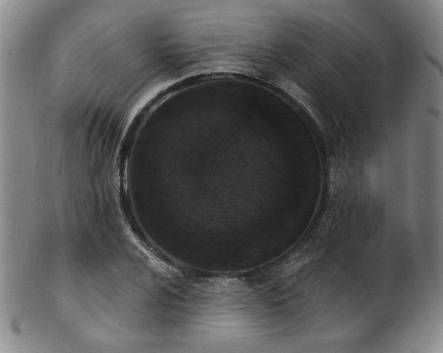 X0000101691024200807101508