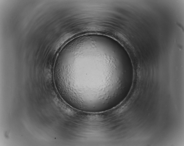 X0000101691025200807101508