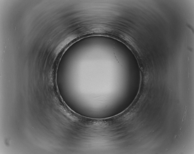 X0000101691026200807101508