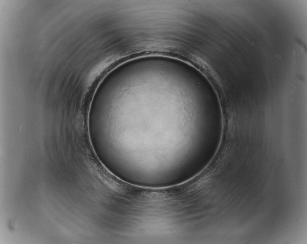 X0000101691027200807101508