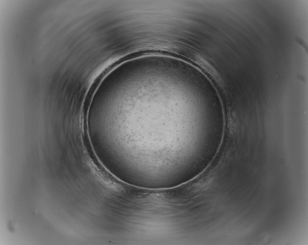 X0000101691028200807101508