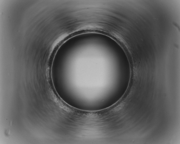 X0000101691029200807101508