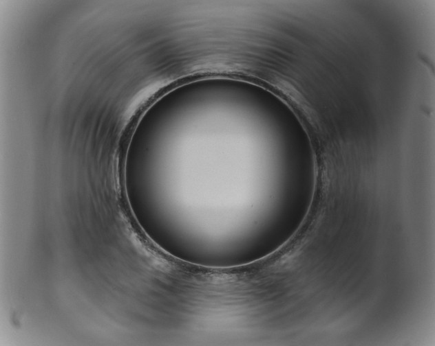 X0000101691030200807101508