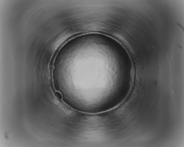 X0000101691031200807101508