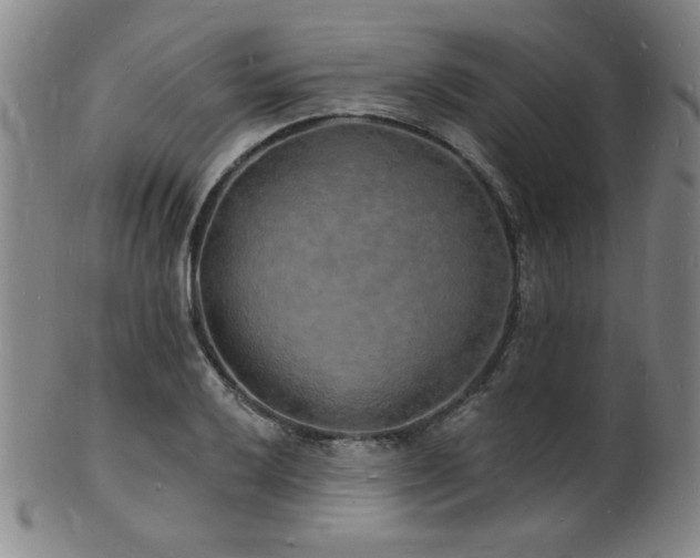 X0000101691032200807101508