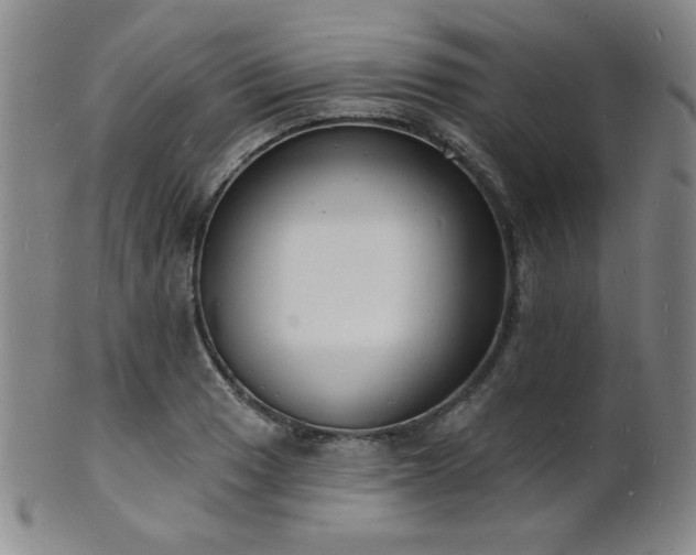 X0000101691033200807101508