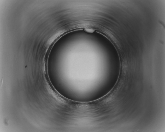 X0000101691034200807101508