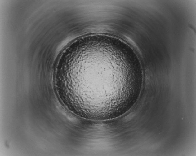 X0000101691035200807101508