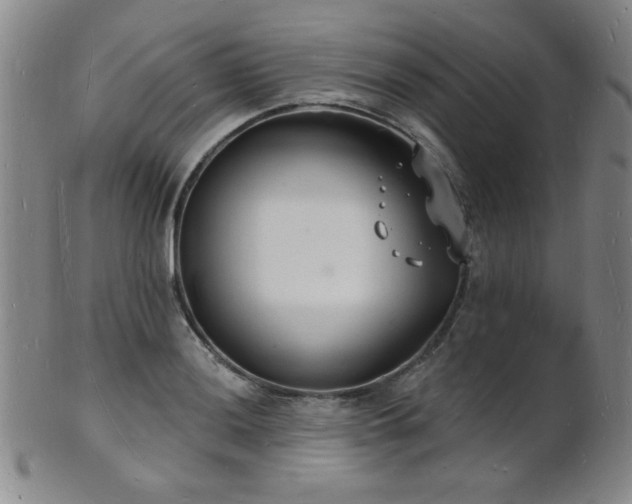 X0000101691036200807101508