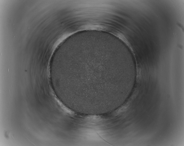 X0000101691037200807101508