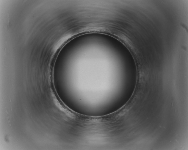 X0000101691038200807101508