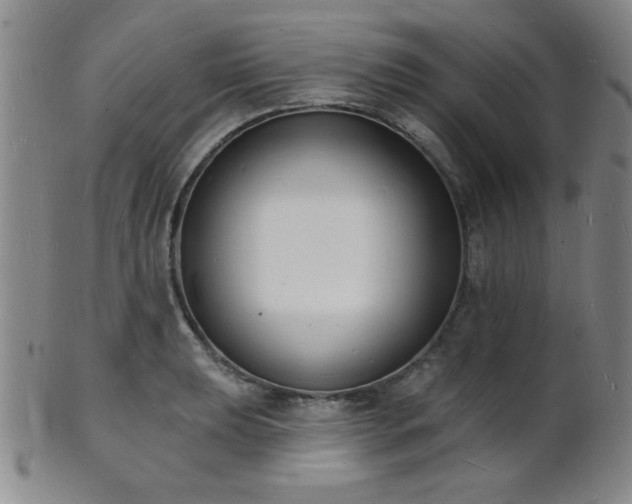 X0000101691039200807101508