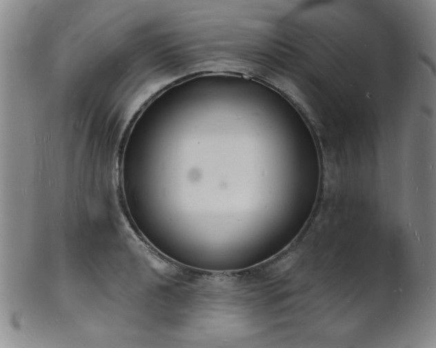 X0000101691040200807101508