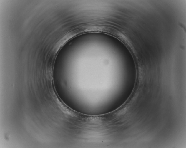 X0000101691041200807101508