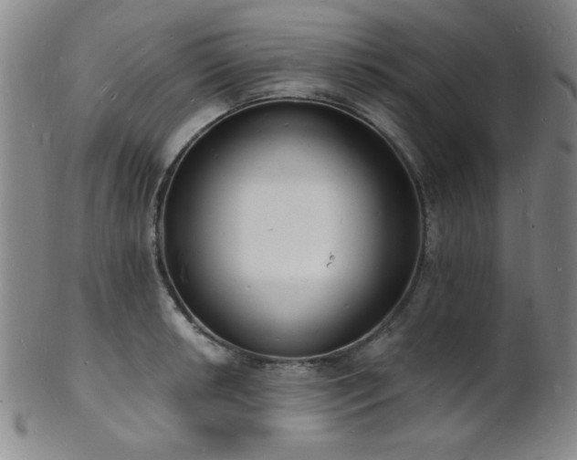 X0000101691042200807101508