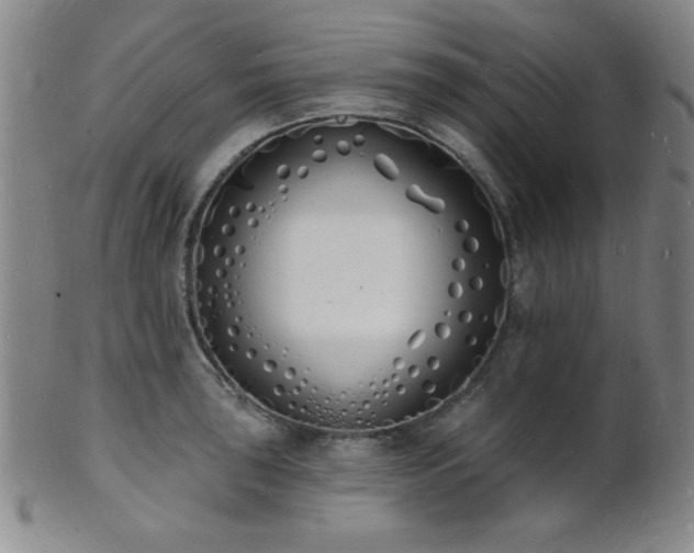 X0000101691043200807101508