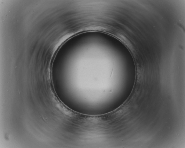 X0000101691044200807101508