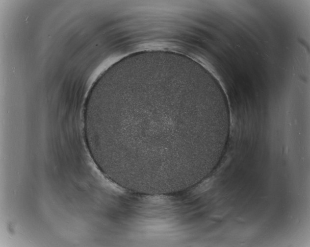 X0000101691045200807101508