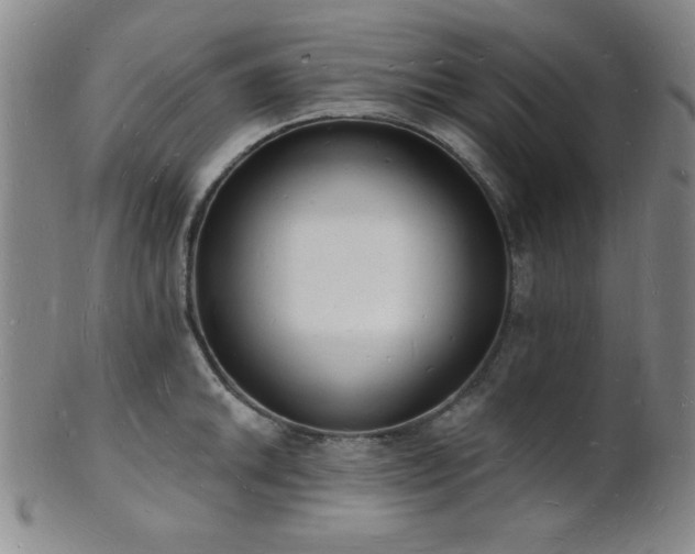 X0000101691046200807101508