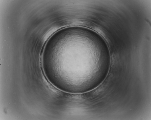 X0000101691047200807101508