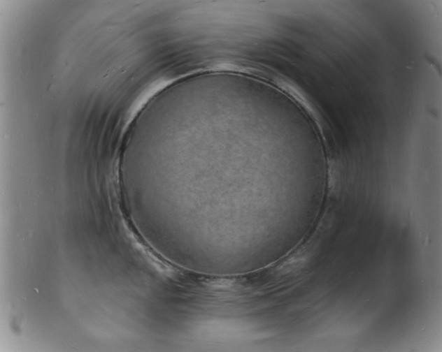 X0000101691048200807101508