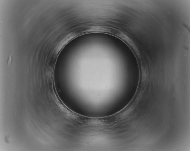 X0000101691049200807101508